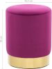 VIDAXL Kruk fluweel paars en goudkleurig online kopen