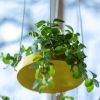 Esschert Design Plantenblad hangend rond S goudkleurig online kopen