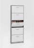 FMD Schoenenkast met 5 kantelende vakken wit en betongrijs online kopen