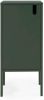 Tenzo wandkast Uno 1 deurs groen 89x40x40 cm Leen Bakker online kopen