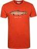 Shiwi T shirts print Oranje Heren online kopen