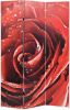 VidaXL Kamerscherm inklapbaar roos 120x170 cm rood online kopen