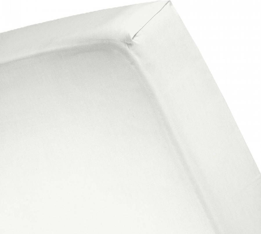 Cinderella Basic Percaline Katoen Hoeslaken 100% Percaline Katoen Lits  jumeaux(180x220 Cm) Ivory - Meubelmooi.nl