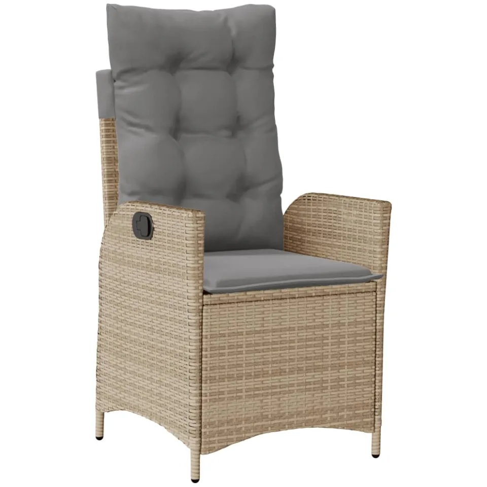 vidaXL 9-delige Tuinset met kussens poly rattan beige