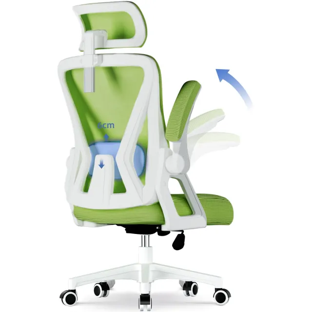 Hiaonyx bureaustoel-ergonomische bureaustoel-bureaustoelen voor volwassenenOpklapbare armleuningen-2D lendensteun-Maximale kanteling 135°-Groente