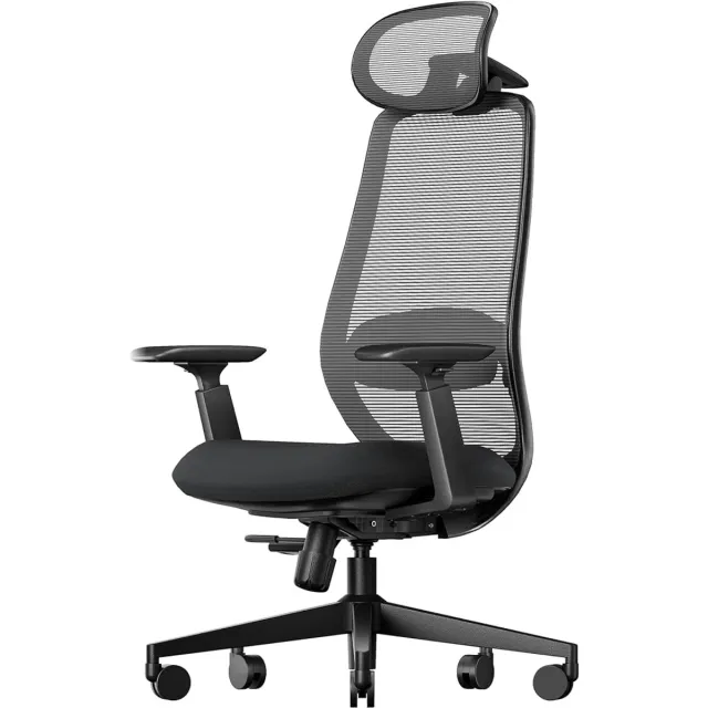 ProtoArc EC200 Premium Ergonomische Bureaustoel – Hoge Rug – Ademend Mesh – 3D Hoofdsteun – Lendensteun – Verstelbaar – Zwart - Bureaustoelen voor Volwassenen - Office Chair Zwart | EC200