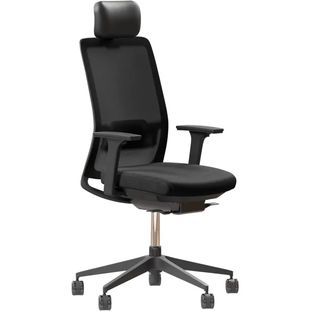 ERGONICE Bureaustoel Ergonice K30 - met hoofdsteun - Zwart
