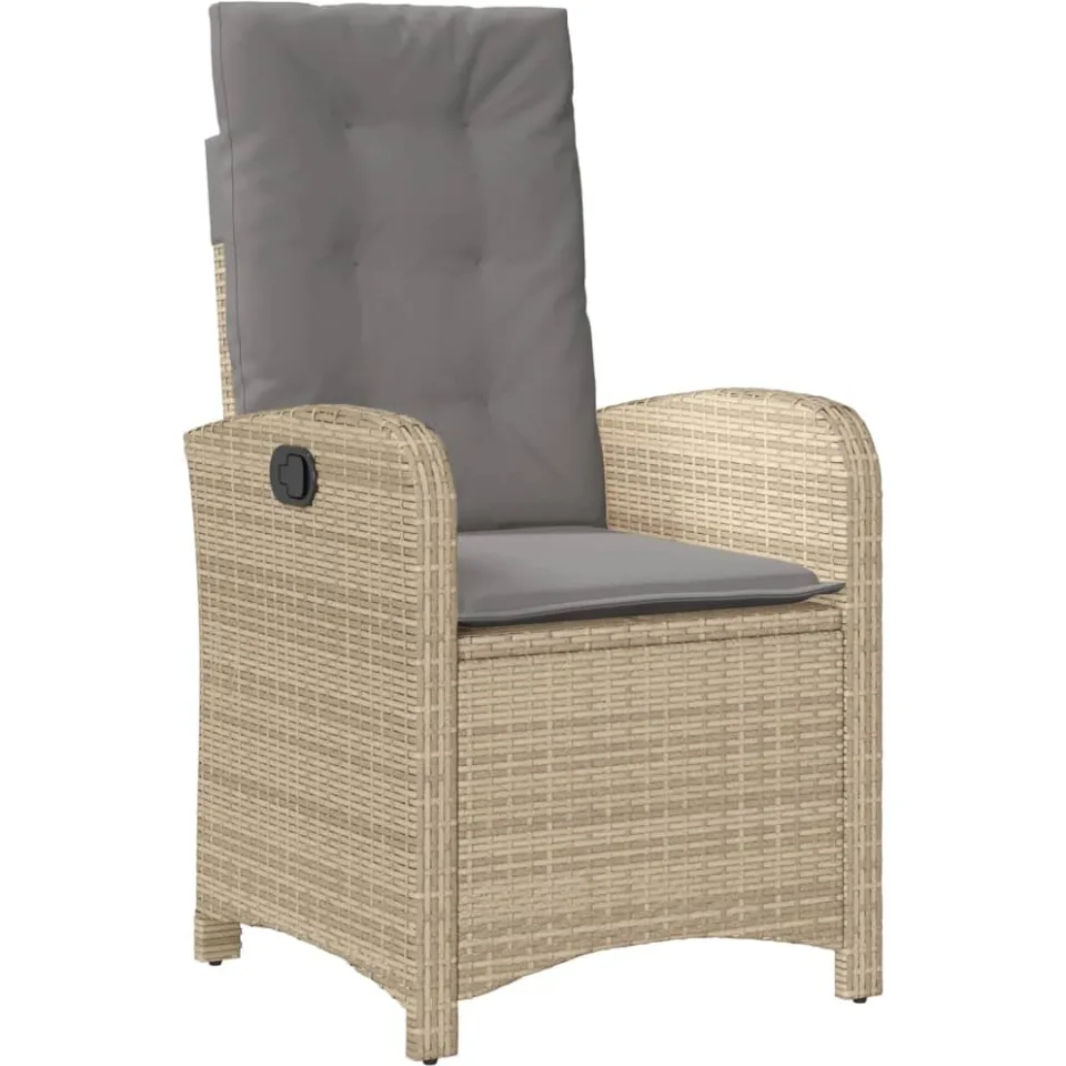 vidaXL 9-delige Tuinset met kussens poly rattan gemengd beige
