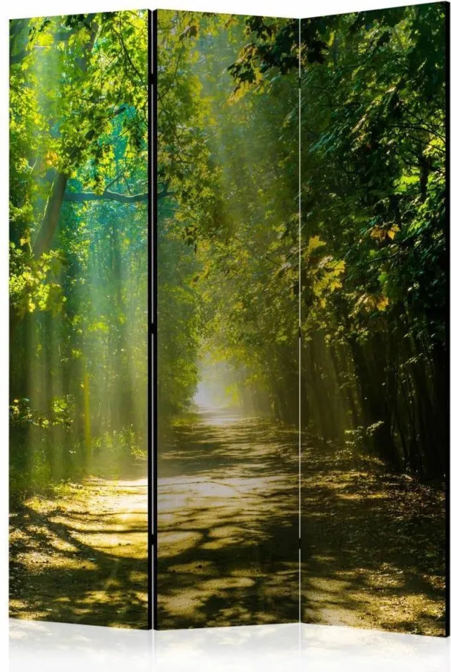 karo-art Vouwscherm / Kamerscherm - Pad door het bos 135x172cm , gemonteerd geleverd dubbelzijdig geprint multikleur