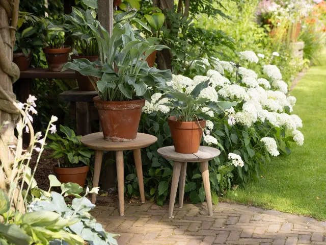 ROUGH Furniture ROUGH-K bijzet tuintafel ø 40cm Bruin