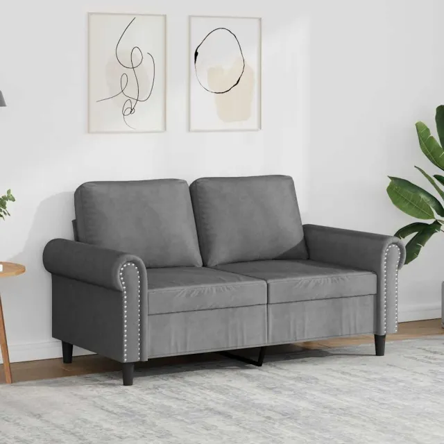 vidaXL Tweezitsbank 120 cm fluweel donkergrijs