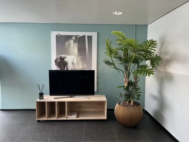 NordXL Eikenhouten tv-meubel Remco