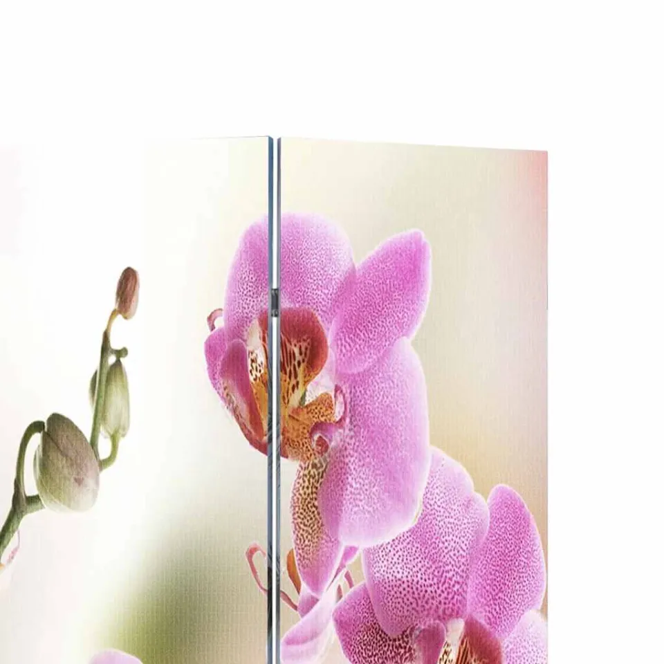 vidaXL Kamerscherm inklapbaar bloem 217x170 cm meerkleurig, foto 3