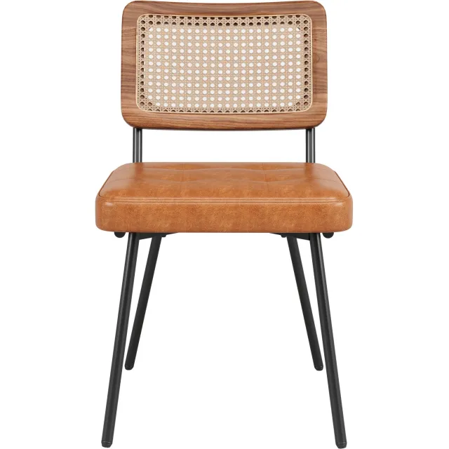 SONNENH Eetkamerstoelen set van 2 met bruin kunstleer, PE-rotanlook rug en zwarte metalen poten Bruin, naturel en zwart