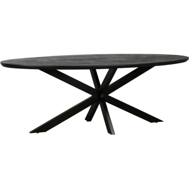 Meubelplaats Eettafel Colorado ovaal mangohout 220x110 cm - verjongde rand - Zwart