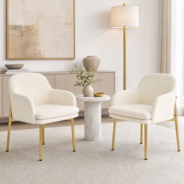 CHICFURN Eetkamerstoel - Met armleuningen - Set van 2 - Wit