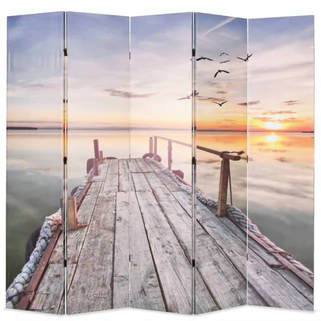 vidaXL Kamerscherm inklapbaar meer 200x170 cm Meerkleurig
