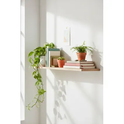 Duraline Wandplank Xs2 Eiken Knoest 18mm 60x23,5cm Bruin