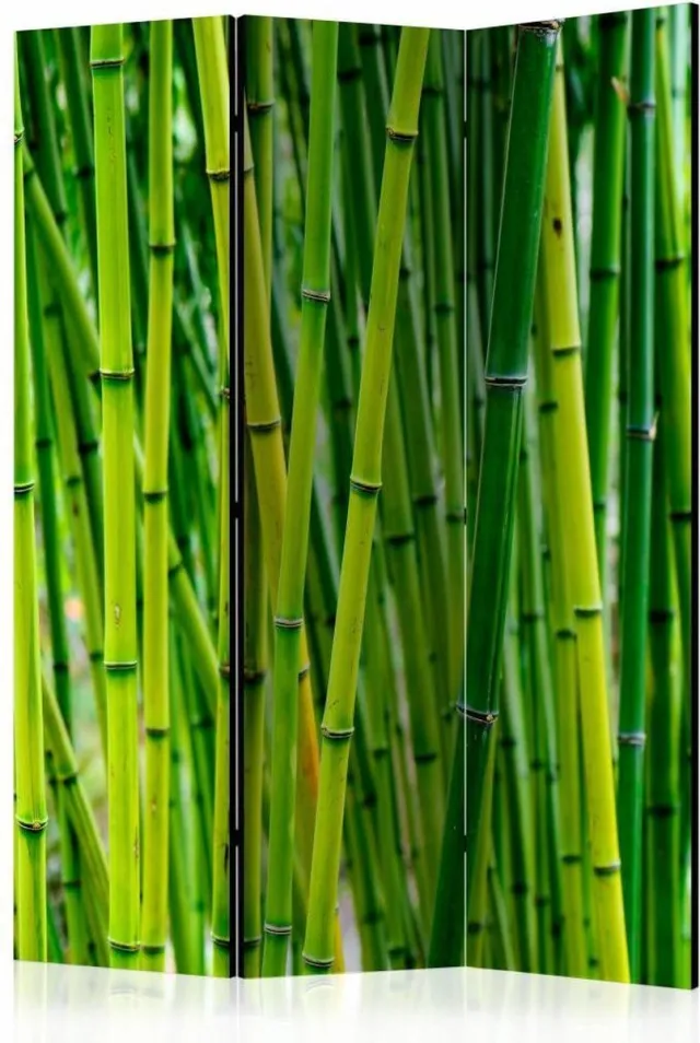 karo-art Vouwscherm / Kamerscherm - Bos van Bamboe 135x172cm gemonteerd geleverd, dubbelzijdig geprint Multikleur