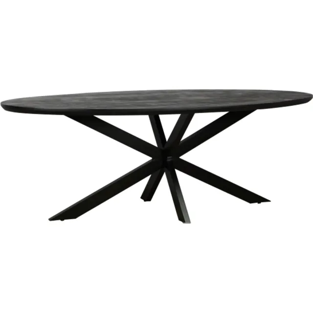 Meubelplaats Eettafel Colorado ovaal mangohout 260x110 cm - verjongde rand - Zwart