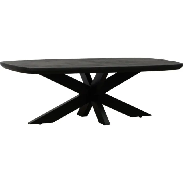 Meubelplaats Salontafel Colorado Deens ovaal mangohout 130x70 cm - Zwart