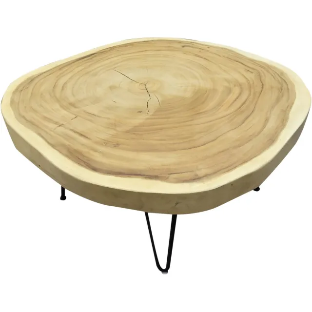 AVH-Collectie Boomstamtafel met metalen poten 80xH45 rond - bladdikte 6 cm Bruin / Terre