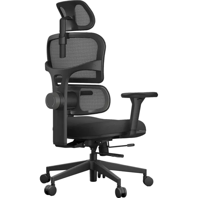Schaffenburg 800-NEN Bureaustoel | Ergonomische Bureaustoel | NEN-EN 1335 | 4D Armleuningen | Verstelbare Lendensteun | Zwart