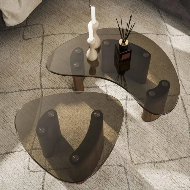 Fraaai Caruso organische salontafels - set van 2 - smoked glass Transparant