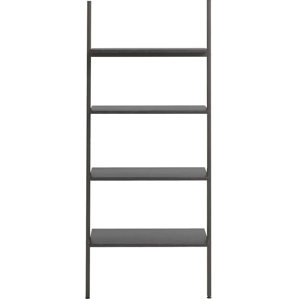 vidaXL Ladderrek met 4 schappen 64x34x150,5 cm zwart