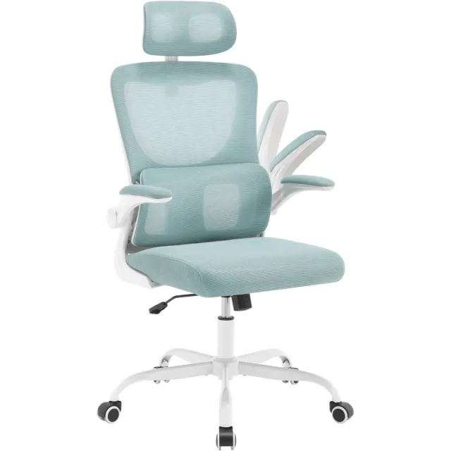 Woltu Ergonomische bureaustoel - Ergonomische gamestoel - bureaustoelen voor volwassenen - 360-draaibare bureaustoel Ademend gaas - Computerstoel wit/Blauw