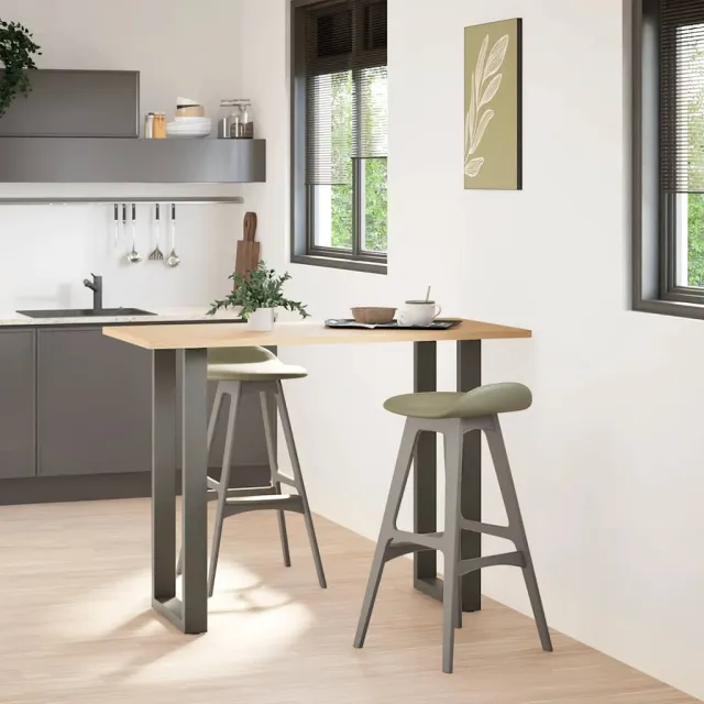 vidaXL Bartafelpoten 2 st U-vormig 40x(100-101) cm staal antraciet Anthraciet