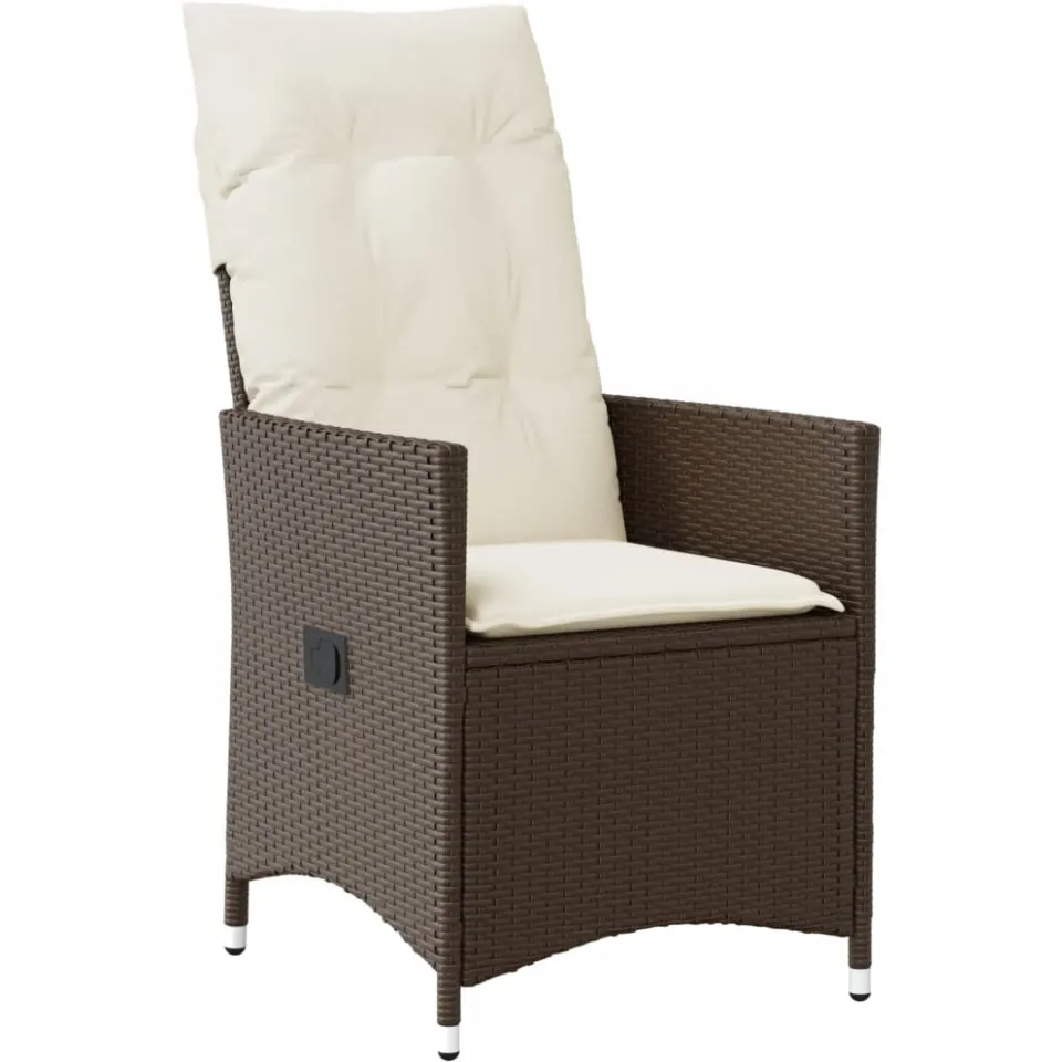 vidaXL 9-delige Tuinset met kussens poly rattan bruin