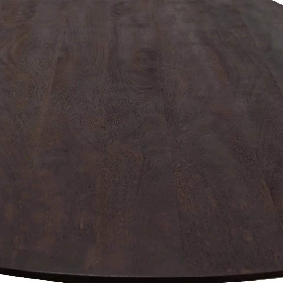 Giga Meubel Eettafel Feline - Deens Ovaal - Mangohout - 300cm, foto 7