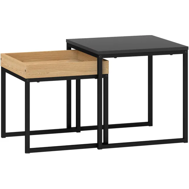 Homona Salontafelset - Set van 2 - Met U-vormige stalen poten - 45 x 45 x 45 cm en 40 x 40 x 40 cm - Zwart