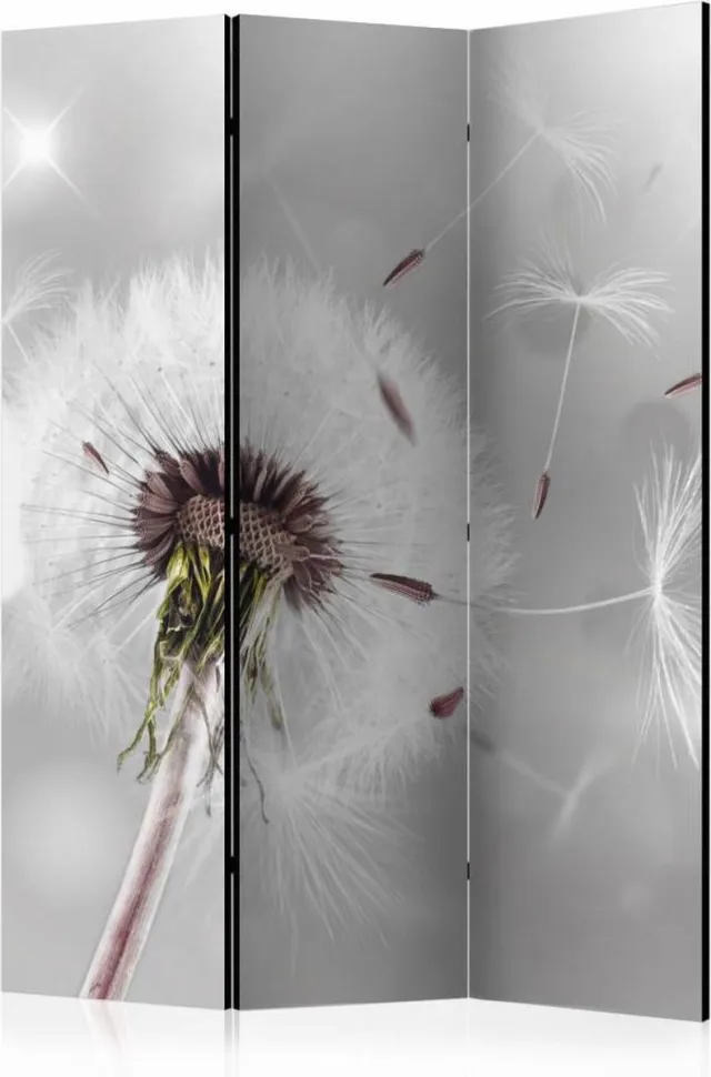 karo-art Vouwscherm - Paardenbloem in de wind 135x172 cm , gemonteerd geleverd (kamerscherm) dubbelzijdig geprint Multikleur