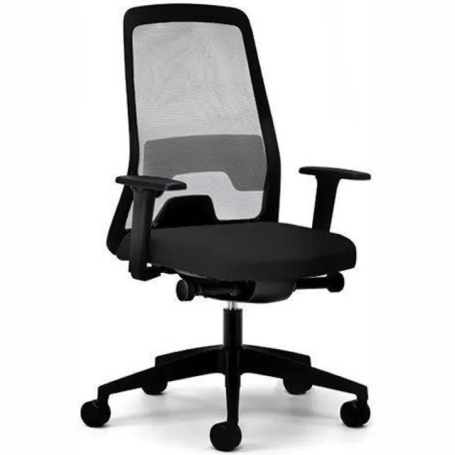 Interstuhl Ergonomische Bureaustoel Interstuhl New Everyis1 EV211 - Stof Zwart Era ER01 - Voetkruis Kunststof Zwart - 4D Armleggers - Netbespanning
