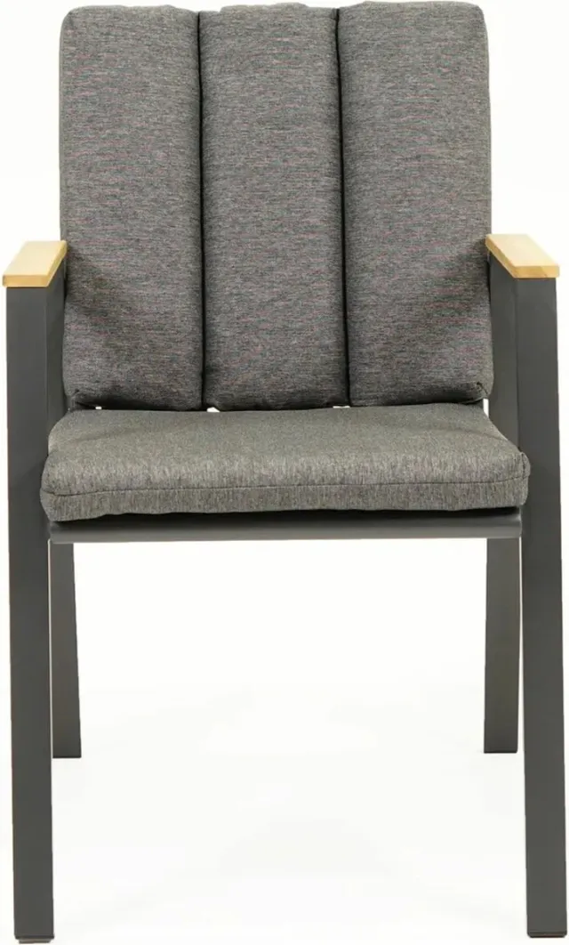 VITA Stapelstoel Kunststof Leather Fauteuil Antraciet