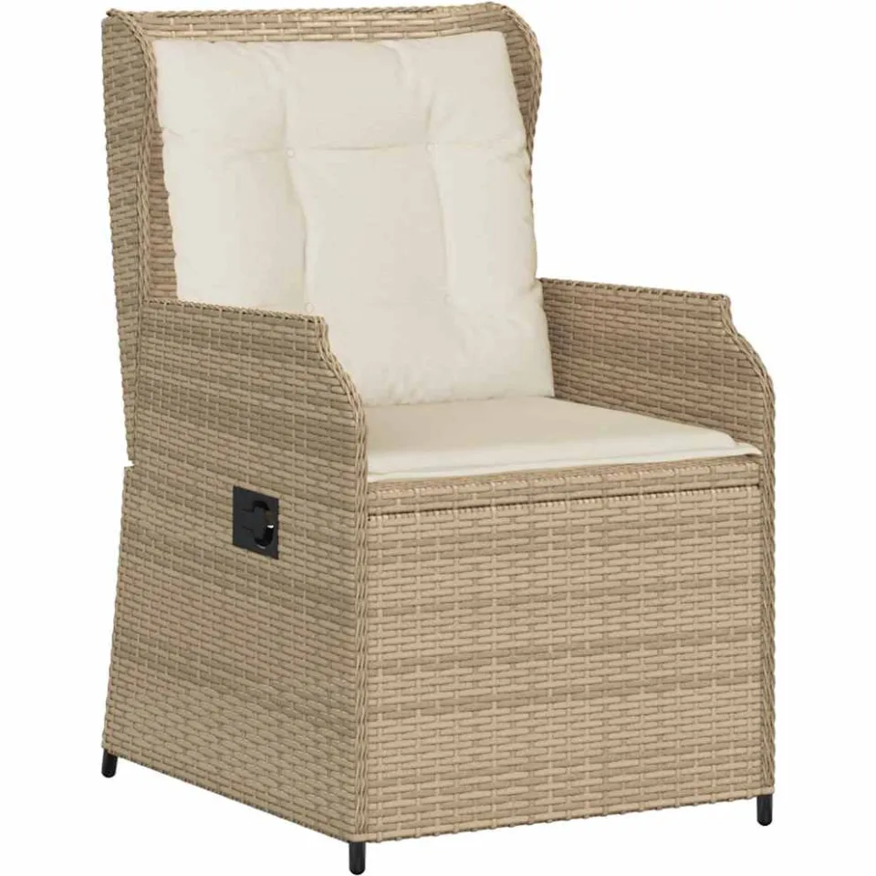 vidaXL Tuinbank 2 st Beige poly rattan, foto 4