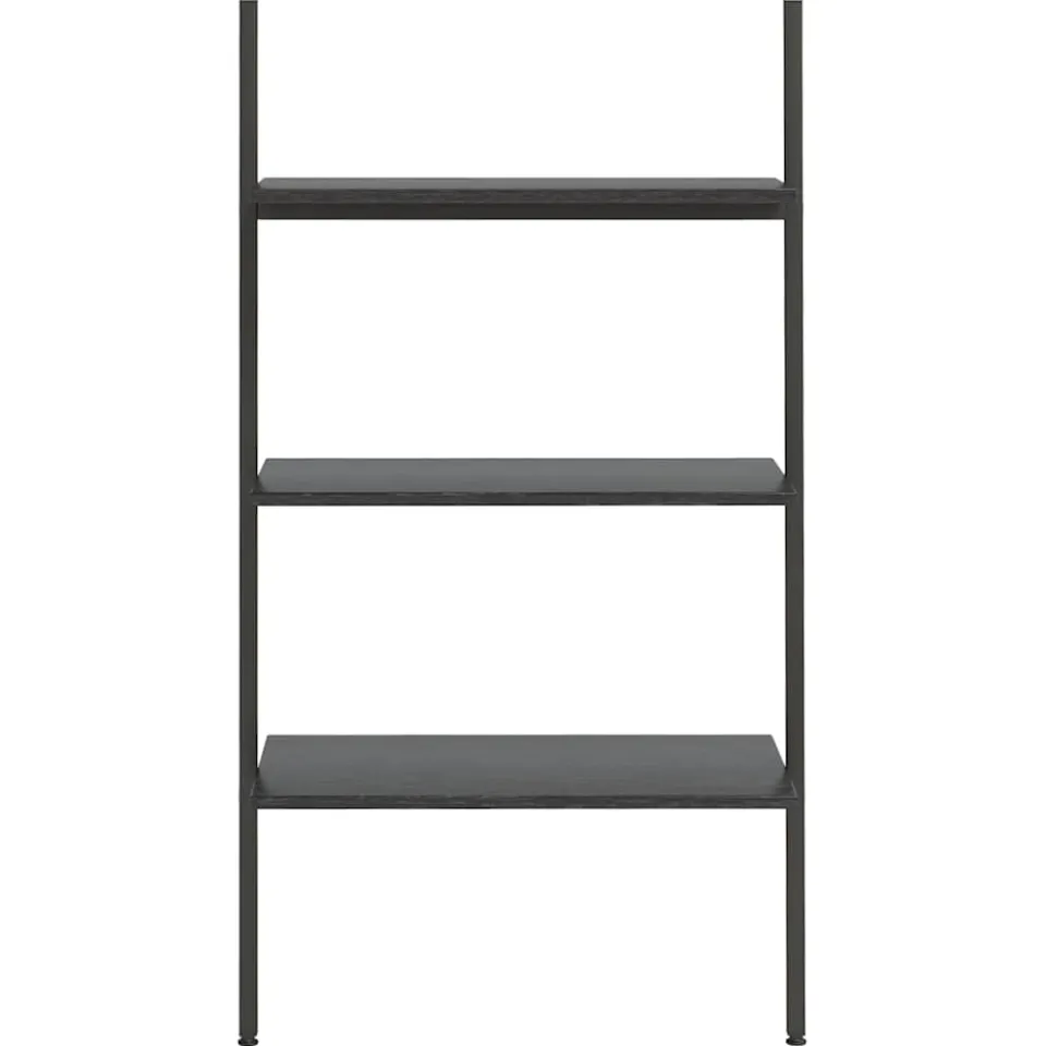 vidaXL Ladderrek met 3 schappen 64x34x116 cm zwart