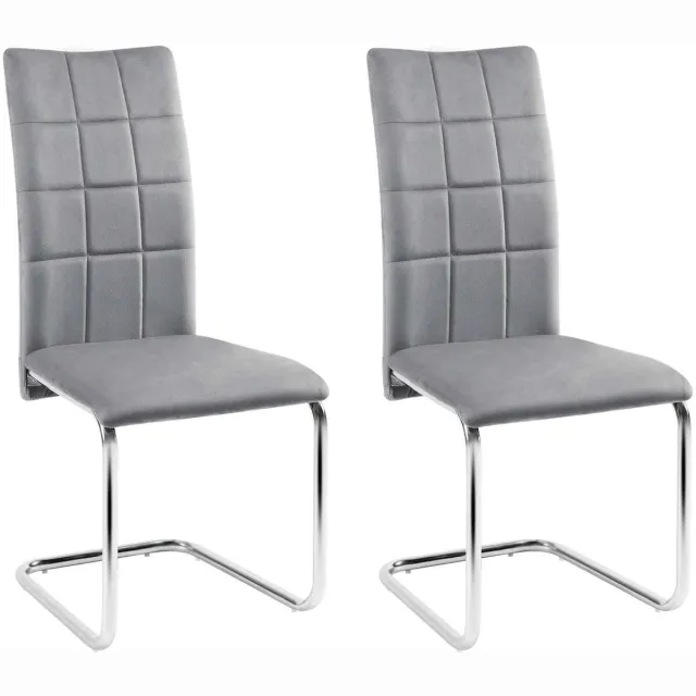 C. , R. E. CORE Eetkamerstoelen - Eetkamerstoel - Fluweel gestoffeerde stoel - Schommel vrijdragende stoel - Set van 2 stoelen - 43x51.5x99cm - Grijs