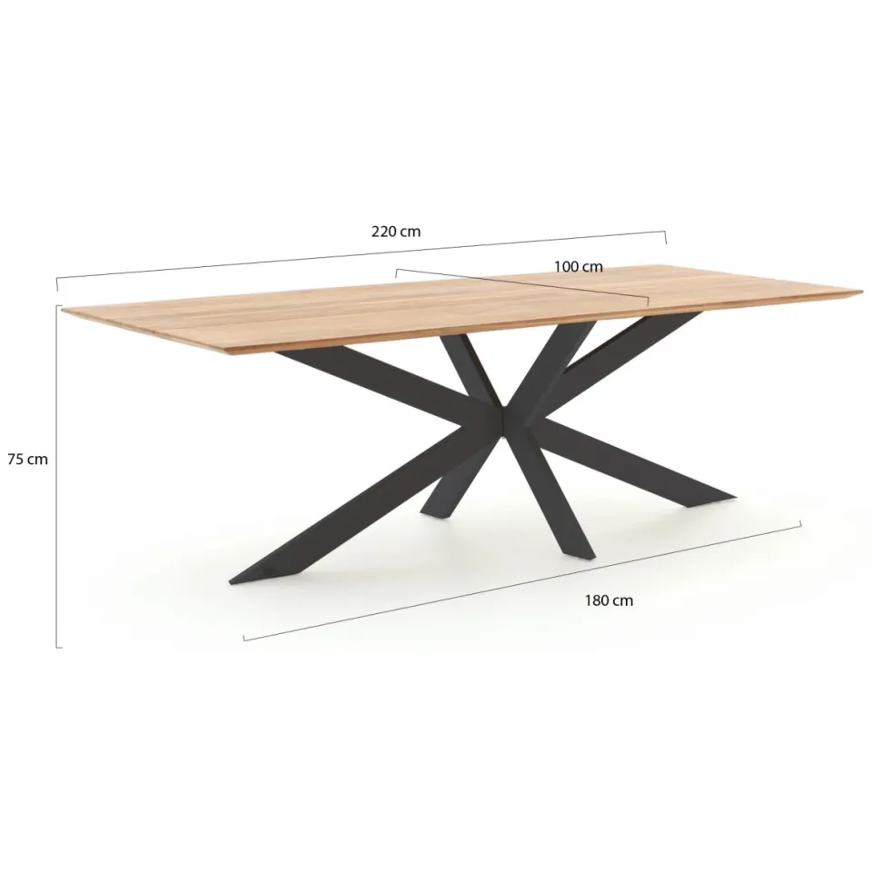 Intenso Furniture Intenso Isorella/Furato 220cm dining tuinset 7-delig grijs, foto 3