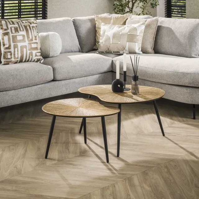 PS-Collection Ray Salontafel Set van 2 - Niervormig - 71x56x40cm - Brons - Metaal - salontafels rond, salontafels, salontafel zwart, salon tafel, salontafel rond, salontafel industrieel, salontafel vierkant, salontafel marmer, salontafel wit Goud