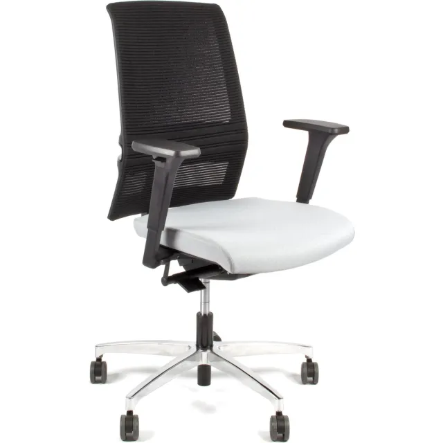 Linea Omnia 01 - Bureaustoel - Ergonomisch EN1335 - Multi verstelbaar- Zwart/Grijs
