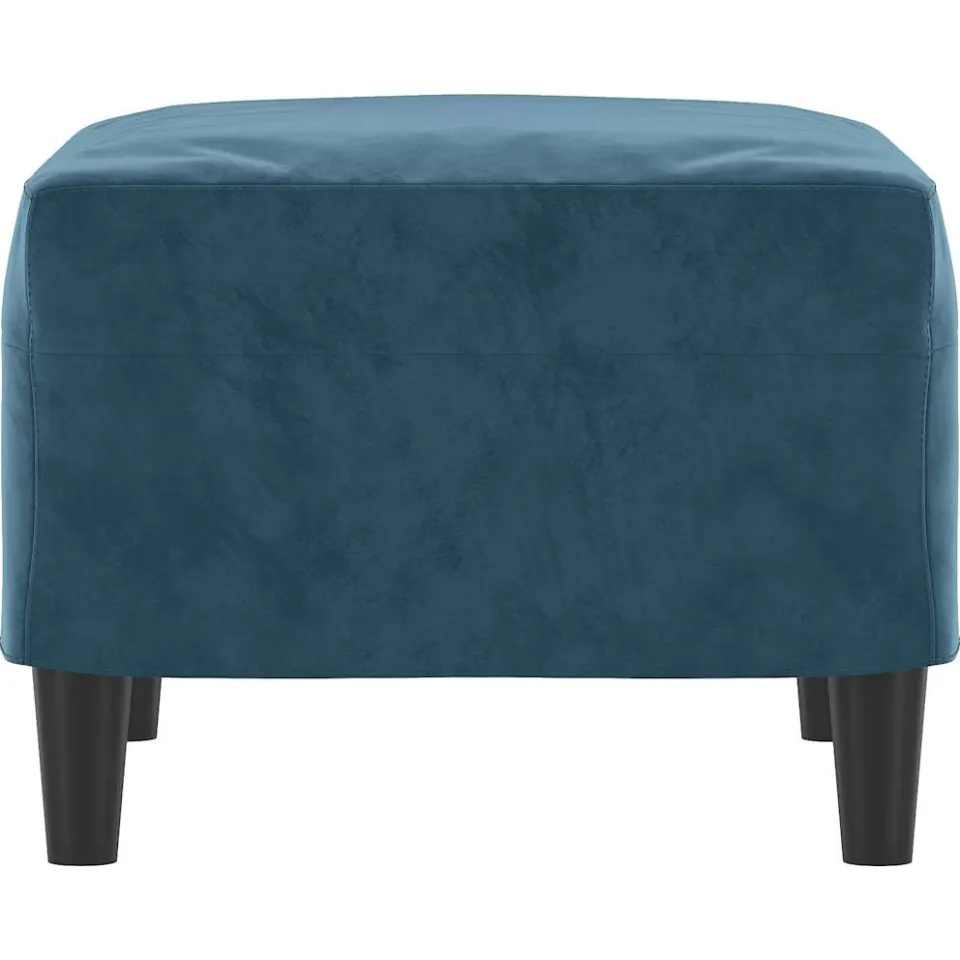 vidaXL Voetenbank 60x50x41 cm fluweel blauw, foto 4