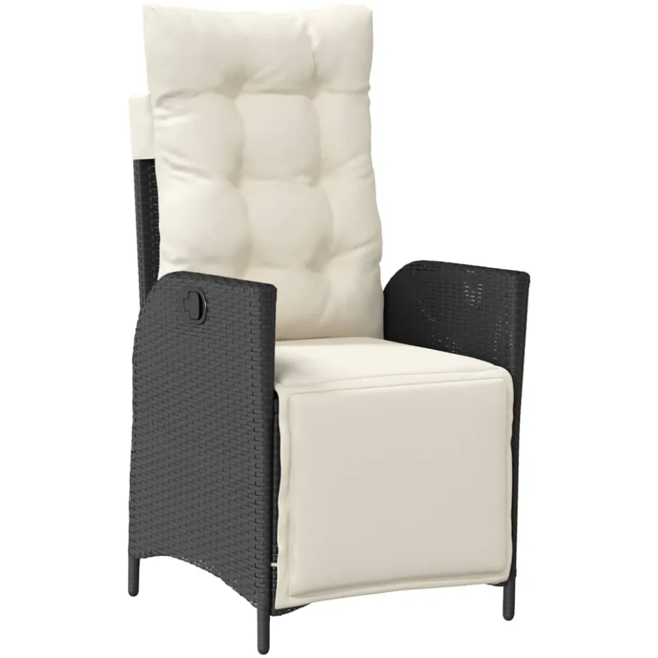 vidaXL 9-delige Tuinset poly rattan zwart, foto 3
