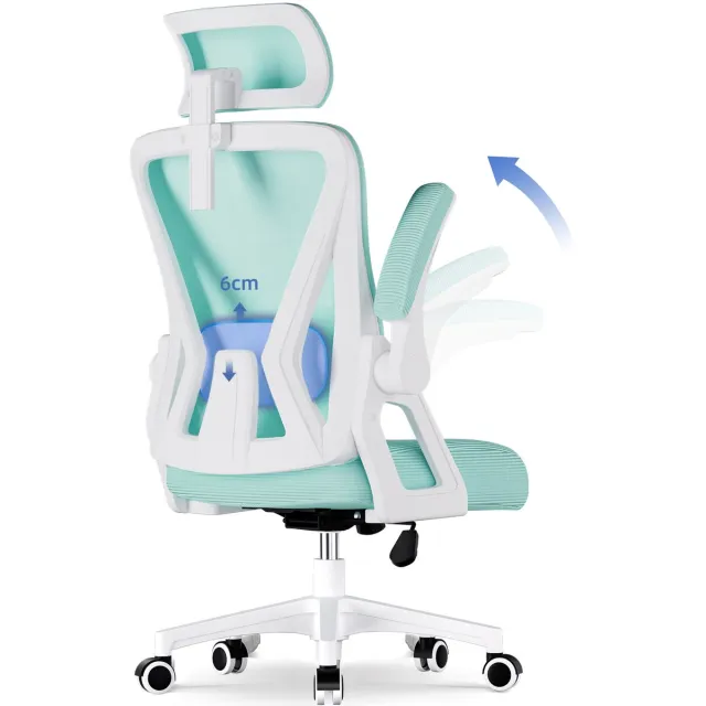 Hiaonyx bureaustoel-ergonomische bureaustoel-bureaustoelen voor volwassenenOpklapbare armleuningen-2D lendensteun-Maximale kanteling 135°-Wit Cyaan Blauwgroen