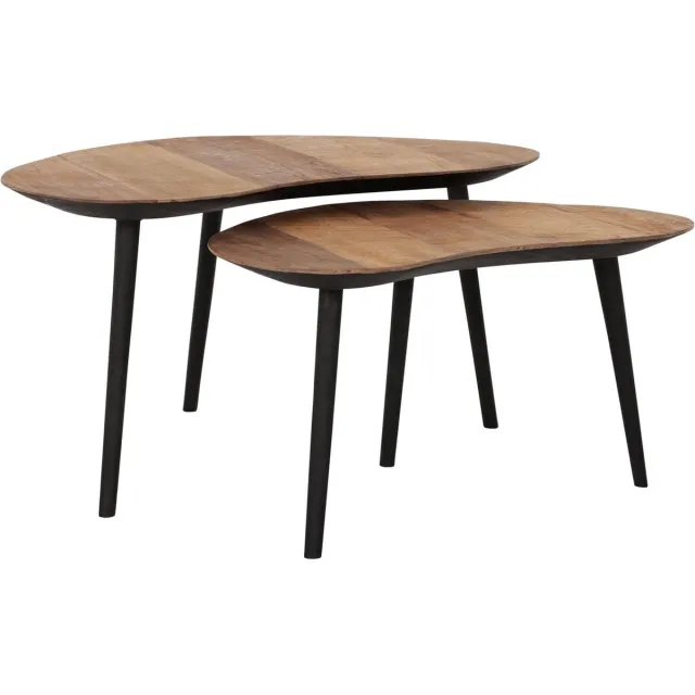 DTP Home Salontafel set - DTP Home Highlight Salontafel Organus Naturel - set van 2