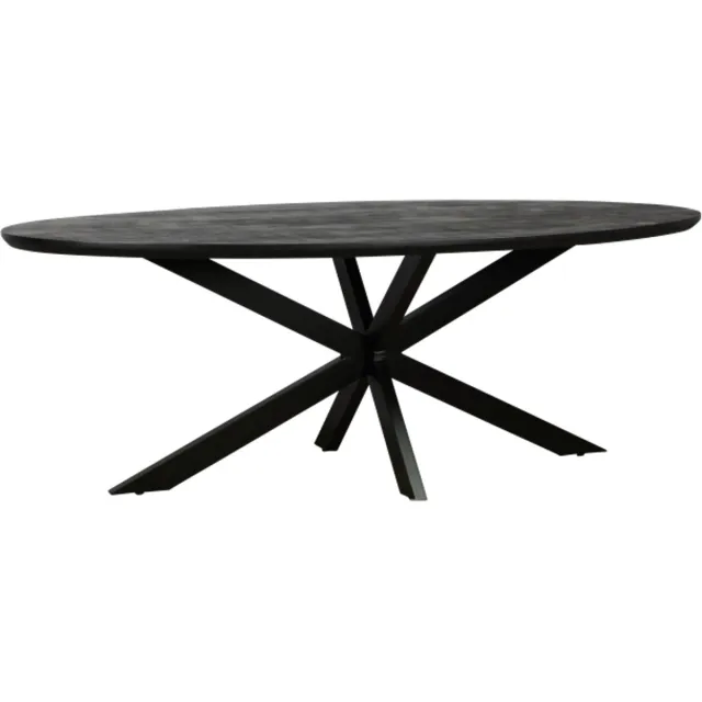 Meubelplaats Eettafel Colorado ovaal mangohout 180x100 cm - verjongde rand - Zwart