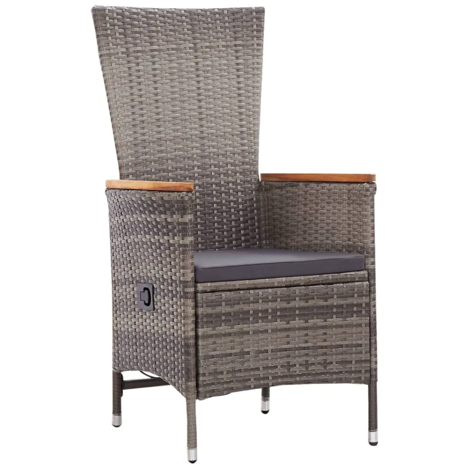 vidaXL 9-delige Tuinset met kussens poly rattan grijs