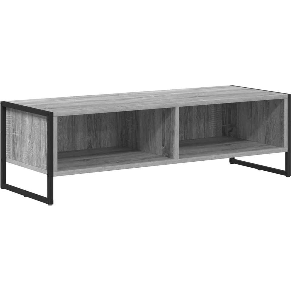 vidaXL TV-kast 100 x 36.5 x 30.5 cm Grijs Sonoma Bewerkt hout, foto 3